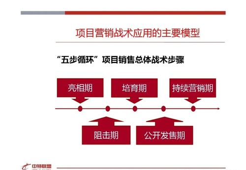 房地產(chǎn)營銷策劃思路精髓與信息咨詢價(jià)值探析